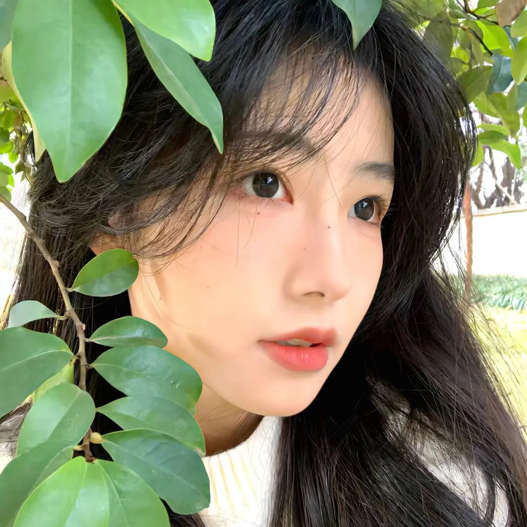 清明时节爱上我